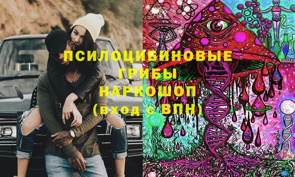 индика Абдулино